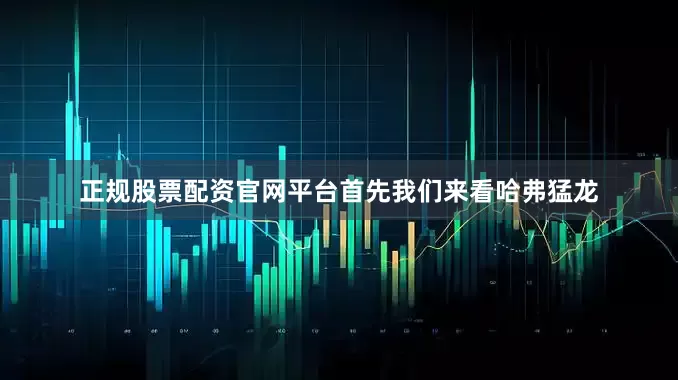 正规股票配资官网平台首先我们来看哈弗猛龙