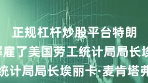 正规杠杆炒股平台特朗普竟然解雇了美国劳工统计局局长埃丽卡·麦肯塔弗