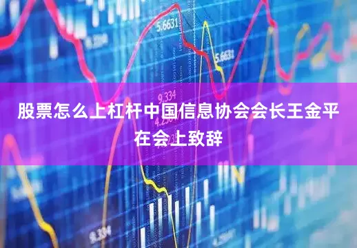 股票怎么上杠杆中国信息协会会长王金平在会上致辞