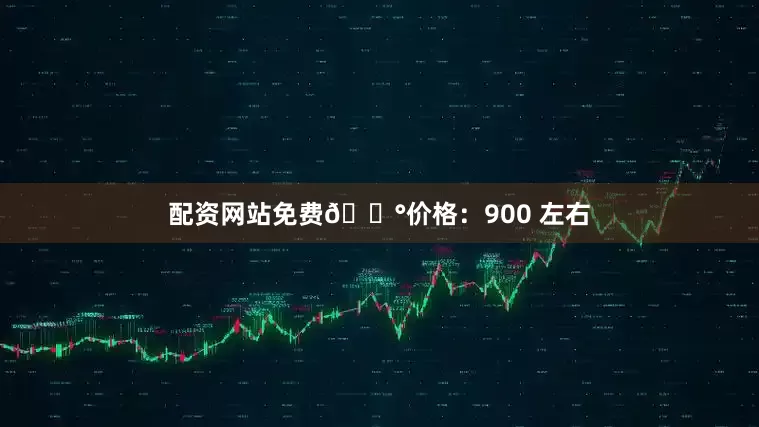 配资网站免费💰价格：900 左右